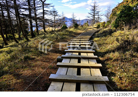 Tanzawa's Himetsugu: Tanzawa's main path of wood and Hinokidomaru Tanzawa's Himetsugu: Tanzawa's main path of wood and Hinokidomaru 112306754
