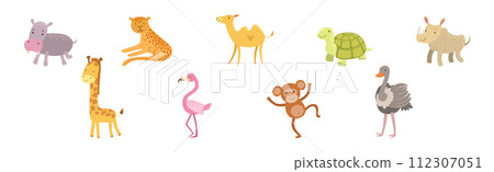 Wild African Animal and Zoo Beast Vector Set 112307051