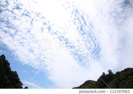 scale clouds in the sky 112307063