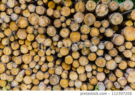 Pile of wood wooden logs background Pile of wood wooden logs background 112307208