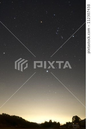 冬天的星星在暮色中升起。天狼星和獵戶座的黃金時段 112307438