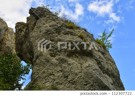 The Pavlov Hills, in Czech also Palava. White limestone rocks, flowers in rock. South Moravia, the Czech Republic, Europe The Pavlov Hills, in Czech also Palava. White limestone rocks, flowers in rock. South Moravia, the Czech Republic, Europe 112307722
