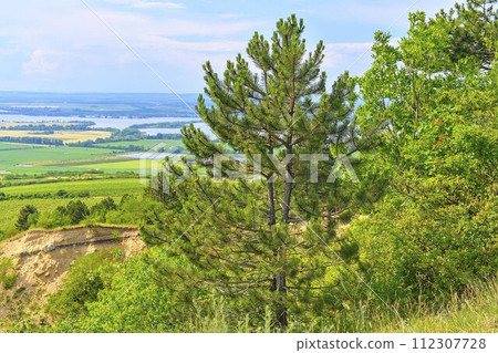 The Pavlov Hills, in Czech also Palava. White limestone rocks, flowers in rock. South Moravia, the Czech Republic, Europe The Pavlov Hills, in Czech also Palava. White limestone rocks, flowers in rock. South Moravia, the Czech Republic, Europe 112307728