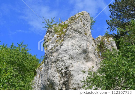 The Pavlov Hills, in Czech also Palava. White limestone rocks, flowers in rock. South Moravia, the Czech Republic, Europe The Pavlov Hills, in Czech also Palava. White limestone rocks, flowers in rock. South Moravia, the Czech Republic, Europe 112307733