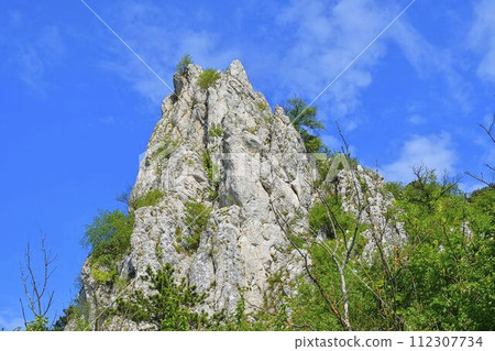 The Pavlov Hills, in Czech also Palava. White limestone rocks, flowers in rock. South Moravia, the Czech Republic, Europe 112307734