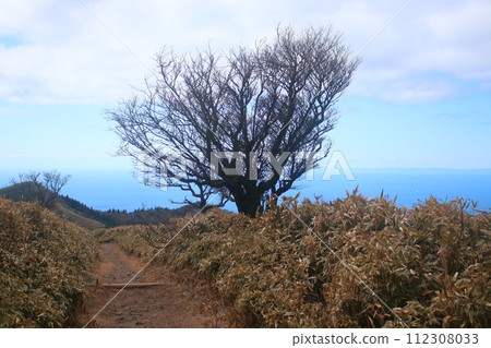 Izu Sanryuu Line sidewalk Izu Sanryuu Line sidewalk 112308033