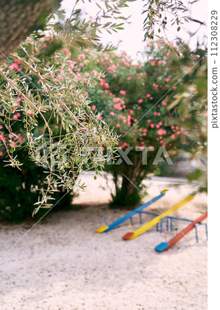 Green olive branch against the background of a flowering bush on the playground. High quality photo Green olive branch against the background of a flowering bush on the playground. High quality photo 112308229