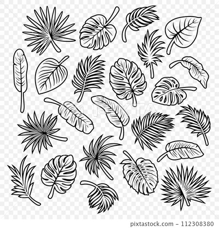 Vector Tropical Leaf Silhouette Icon Set. Flat Vector Monstera, Ficus, Banana Leaf, Dracaena, Sabal Palm Leaves with Outline, Isolated. Design Templates for Home Decor, Invitations, Print 112308380