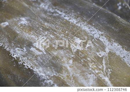 海帶甘露醇 海帶甘露醇 112308746