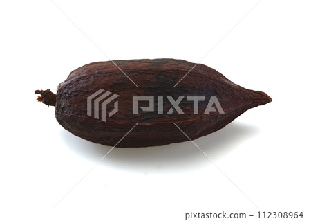 cocoa pod isolated on white 112308964
