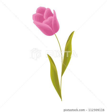 Colored sketch of a flower icon Vector Colored sketch of a flower icon Vector 112309116