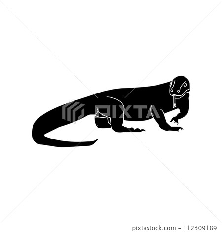 Komodo icon Komodo icon 112309189