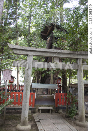 Kitano Tenmangu Shrine Osugisha Shrine 112309349
