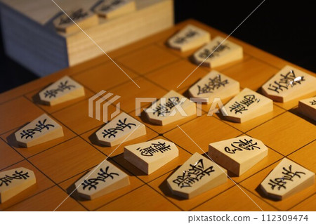 第49屆將棋錦標賽第3場將棋戰績 112309474