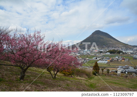 贊岐富士和梅花2（香川縣丸龜市飯山町） 112309797