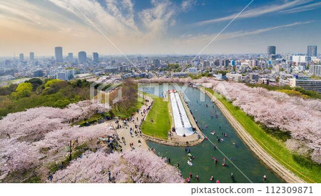 櫻花與人流的風景_03 112309871