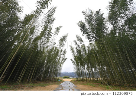 Bamboo Park 7 (Yamakawa-cho, Yoshinogawa City, Tokushima Prefecture) 112309875
