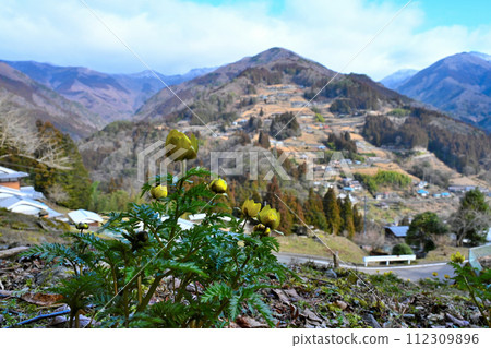 Ochiai Village and Fukujuso 1 (Higashiiya Ochiai, Miyoshi City, Tokushima Prefecture) 112309896