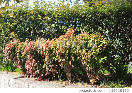 I walked around the Okura athletic field. 112310133