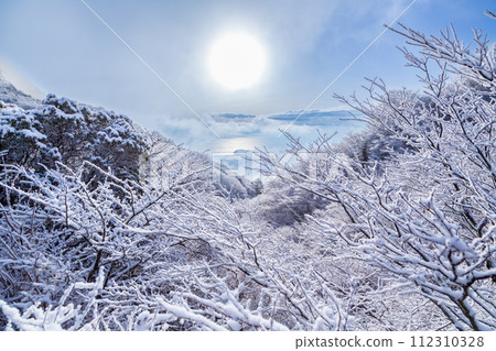 從白雪覆蓋的箱根大觀山欣賞相模灣的日出 從白雪覆蓋的箱根大觀山欣賞相模灣的日出 112310328