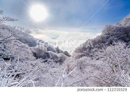 從白雪覆蓋的箱根大觀山欣賞相模灣的日出 112310329