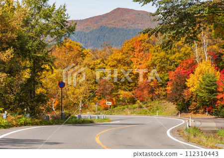 Nagano in autumn, Shiga Kogen at the best time to see the autumn leaves 112310443