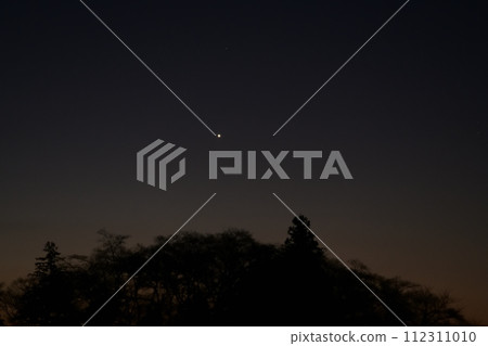 The morning star shines over the forest near dawn 112311010