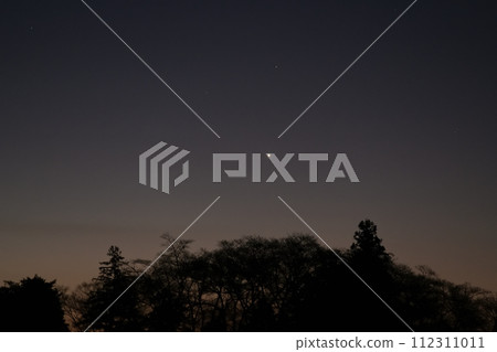 The morning star shines over the forest near dawn 112311011