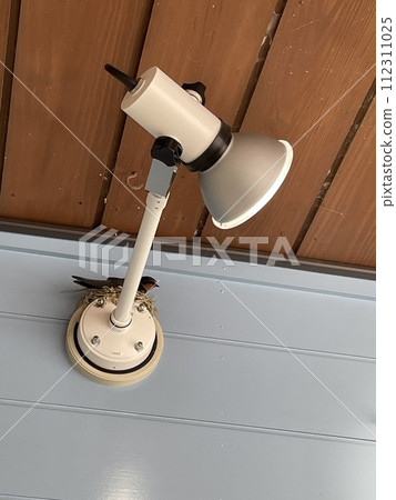 Swallows building a nest on the security camera on the ceiling Swallows building a nest on the security camera on the ceiling 112311025