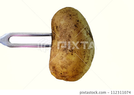 Potato on white background. Potato and fork. Close-up. Cuisine concept. 112311074