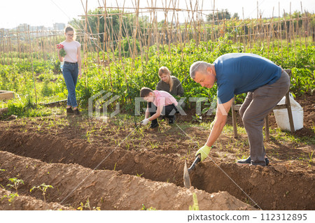 Man preparing vegetable patch for planting in family garden 112312895