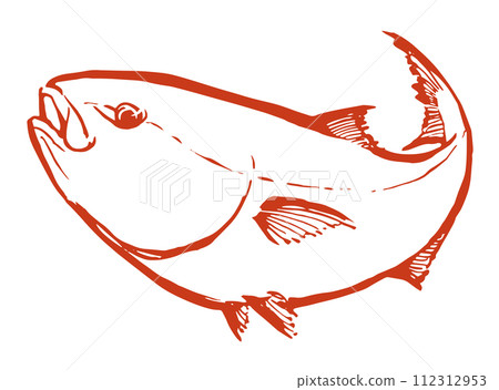 Yellowtail yellowtail illustration Yellowtail yellowtail illustration 112312953