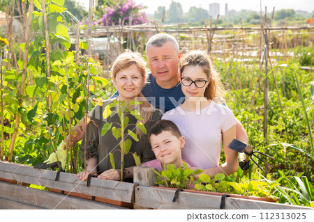 Family of four posing at sunny garden Family of four posing at sunny garden 112313025