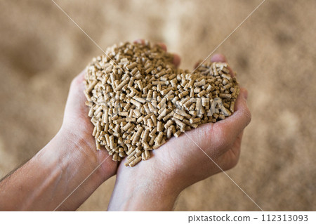 Close up image of hands holding calf feed at stock yard 112313093