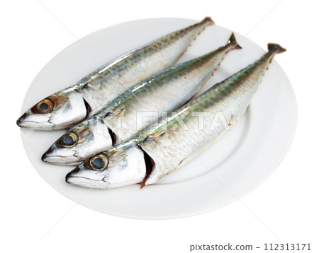 Raw mackerel fish served to table 112313171