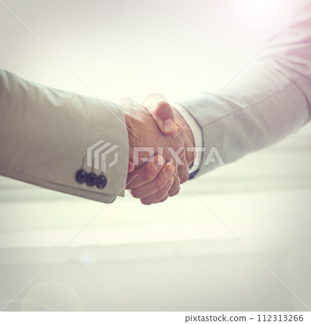 Handshake, business people and agreement in partnership, meeting and thank you for recruitment. Coworkers, closeup and deal for opportunity in workplace, collaboration and support in cooperation Handshake, business people and agreement in partnership, meeting and thank you for recruitment. Coworkers, closeup and deal for opportunity in workplace, collaboration and support in cooperation 112313266