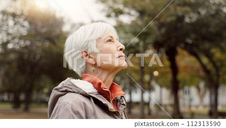 Freedom, nature and elderly woman breathing on vacation, holiday journey and winter travel. Park, fresh air and senior person outdoor for peace, calm and celebration for health, wellness and relax. Freedom, nature and elderly woman breathing on vacation, holiday journey and winter travel. Park, fresh air and senior person outdoor for peace, calm and celebration for health, wellness and relax. 112313590