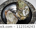big oysters 112314243