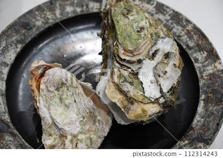 大牡蠣 112314243