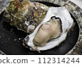 large steamed oysters 112314244