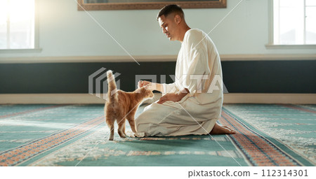 Cat, islamic and man with pet in a mosque for praying, peace and spiritual care in holy religion for Allah. Respect, gratitude and Muslim person with kindness for animal or kitten after worship 112314301