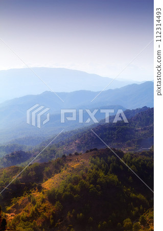 Mountain, fog and natural landscape with bush, cloudy sky and calm hill for travel location. Nature, morning and sustainable environment with earth, peace and holiday destination with conservation Mountain, fog and natural landscape with bush, cloudy sky and calm hill for travel location. Nature, morning and sustainable environment with earth, peace and holiday destination with conservation 112314493