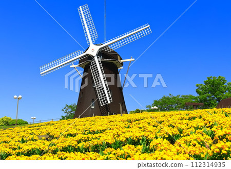 [大阪府]花卉博覽會紀念公園鶴見綠地風車山（中提琴） 112314935