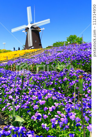[大阪府]花卉博覽會紀念公園鶴見綠地風車山（中提琴） 112314950