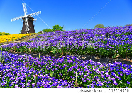 [大阪府]花卉博覽會紀念公園鶴見綠地風車山（中提琴） 112314956