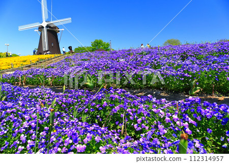 [大阪府]花卉博覽會紀念公園鶴見綠地風車山（中提琴） 112314957