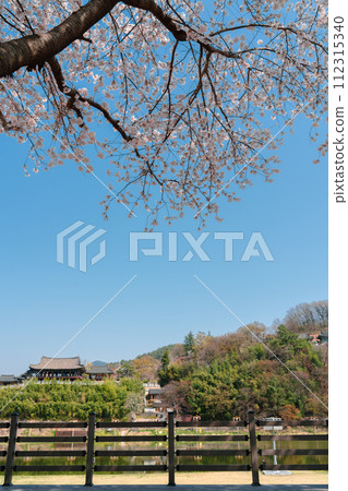 Yeongnamnu traditional pavilion and Miryang River with cherry blossoms in Miryang, Korea Yeongnamnu traditional pavilion and Miryang River with cherry blossoms in Miryang, Korea 112315340