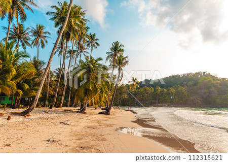 Beach and coconut trees with beautiful morning view on the island 112315621
