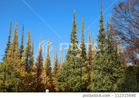 Nov 28 2023 Blue Sky with Group of People in Nature Landscape 112315698