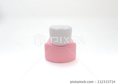 a model teeth, model teeth displaying different 112315714
